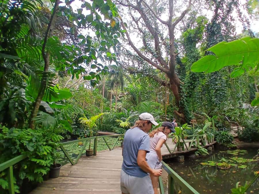 FIJI: Garden of the Sleeping Giant Tour - The Sabeto Valley drive and why it matters for day-trippers