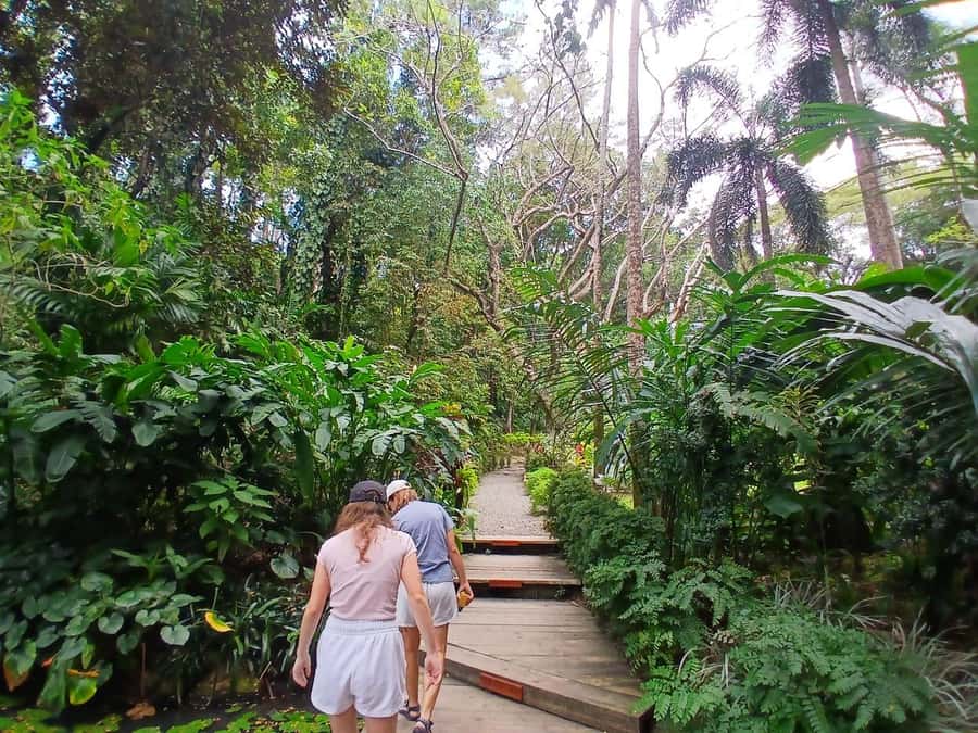 FIJI: Garden of the Sleeping Giant Tour - Timing tricks: go early, and you’ll enjoy the walk more
