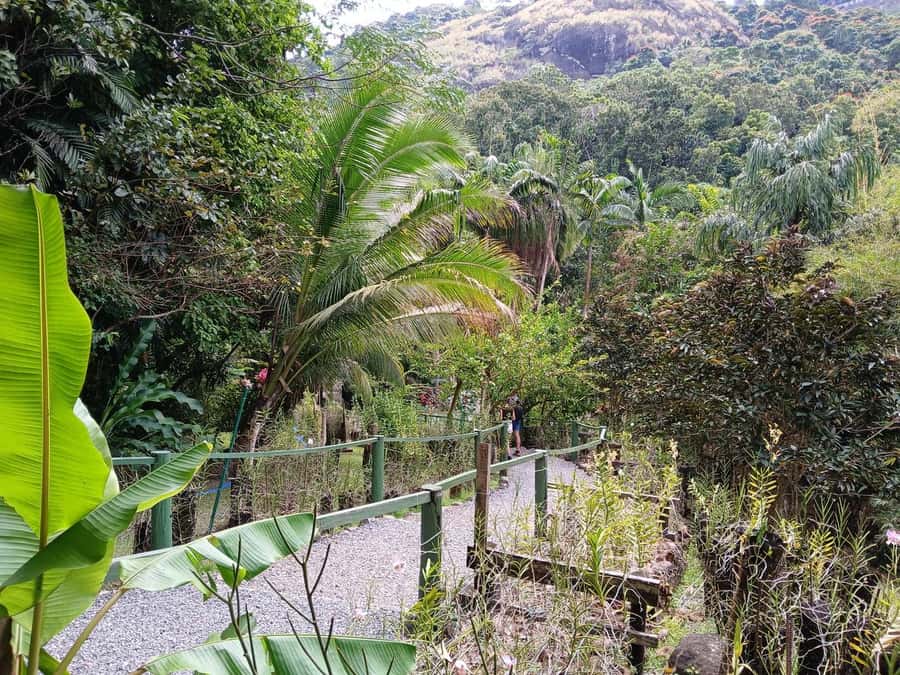 FIJI: Garden of the Sleeping Giant Tour - Value for money: $45 can be a great deal, if the option fits