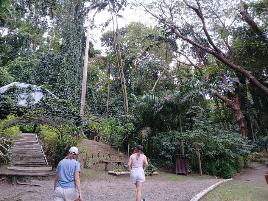 FIJI: Garden of the Sleeping Giant Tour - Tips to make the most of your orchid walk