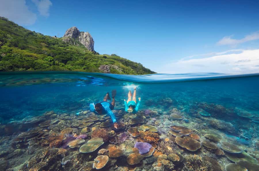 Fiji: Kuata Island Marine Conservation Experience Full Day - Key highlights