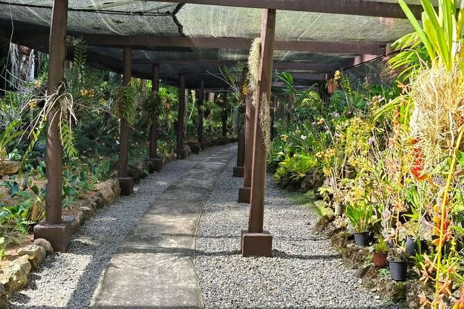 Fiji Lautoka Shore Excursions Tour - How the Stops Fit Together, So You Do Not Feel Rushed