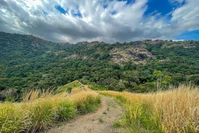 Fiji Lautoka Shore Excursions Tour - Stop 2: Viseisei Village Culture in a Focused 30 Minutes