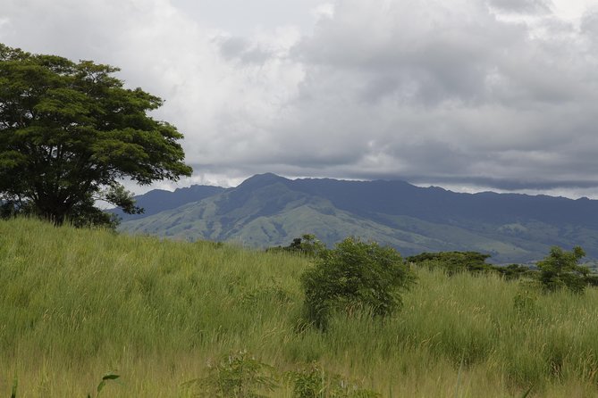 Fiji Local Village, Market, Temple & Garden of Sleeping Giant with Mud Pool Tour - Key things to know before you go