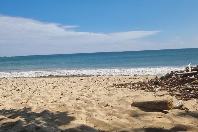 Fiji Local Village, Market, Temple & Garden of Sleeping Giant with Mud Pool Tour - Price and logistics: why the real cost may be more than $51.57