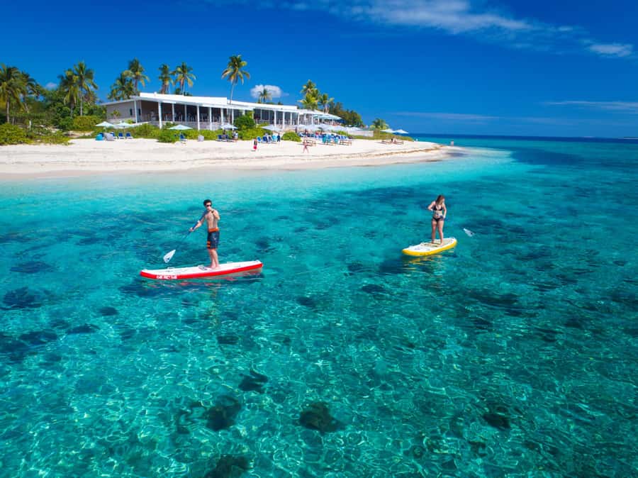 Fiji: Malamala Beach Club Half-Day Trip - Key things that make this half-day cruise worth your time