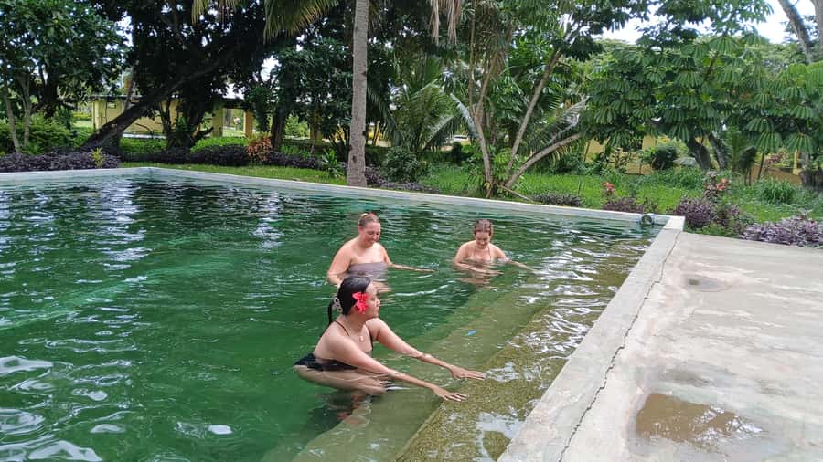 FIJI-NADI: Sabeto Tifajek Hot Spring and Mudpool Tour - Getting there from Nadi: pickup, meeting point, and a reality check