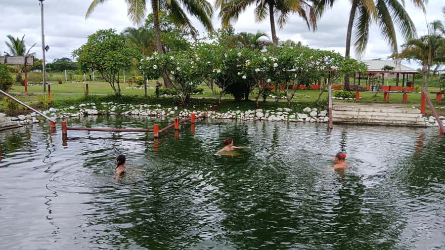 FIJI-NADI: Sabeto Tifajek Hot Spring and Mudpool Tour - Mudpool bath: where the “therapy” part happens