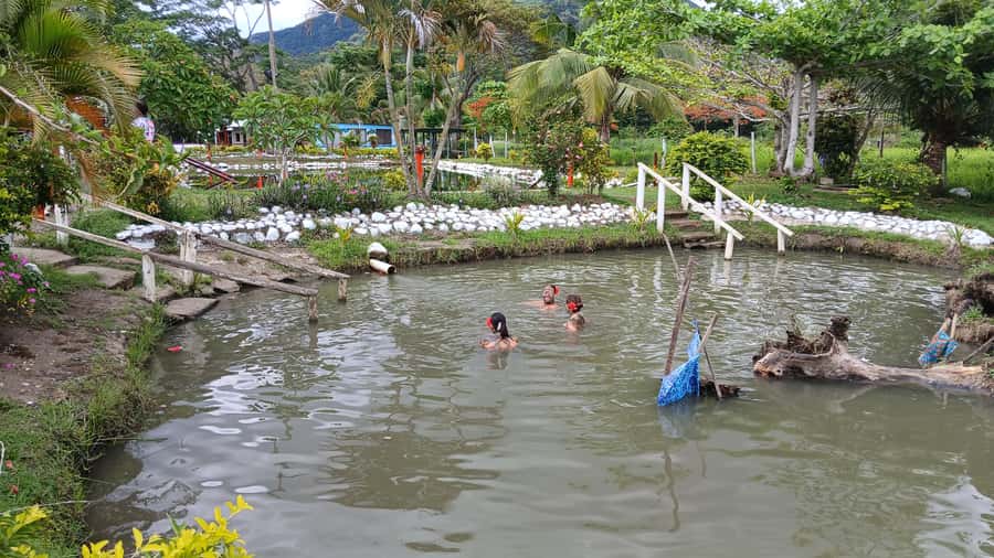 FIJI-NADI: Sabeto Tifajek Hot Spring and Mudpool Tour - Who should book the Sabeto Tifajek tour