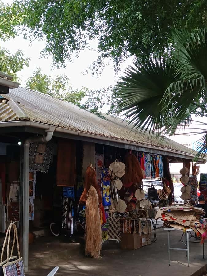 Fiji: Nadi Tour with Tifajek Mudpool and Hotspring Visit - The Sabeto Waterfall Hike and Zipline Over 700 m: Fun, But Book It for Energy