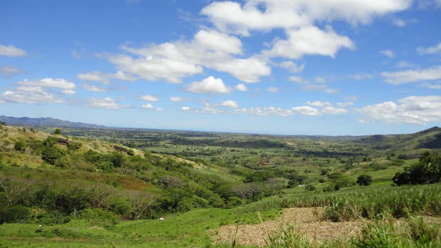 Fiji: Navala Village Cultural Tour & Traditional Lunch - Guided village walk, from bure life to a remote primary school