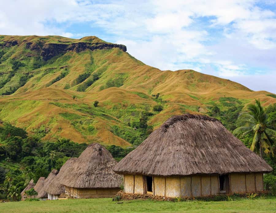 Fiji: Navala Village Cultural Tour & Traditional Lunch - Price and value, what $222 per person is buying