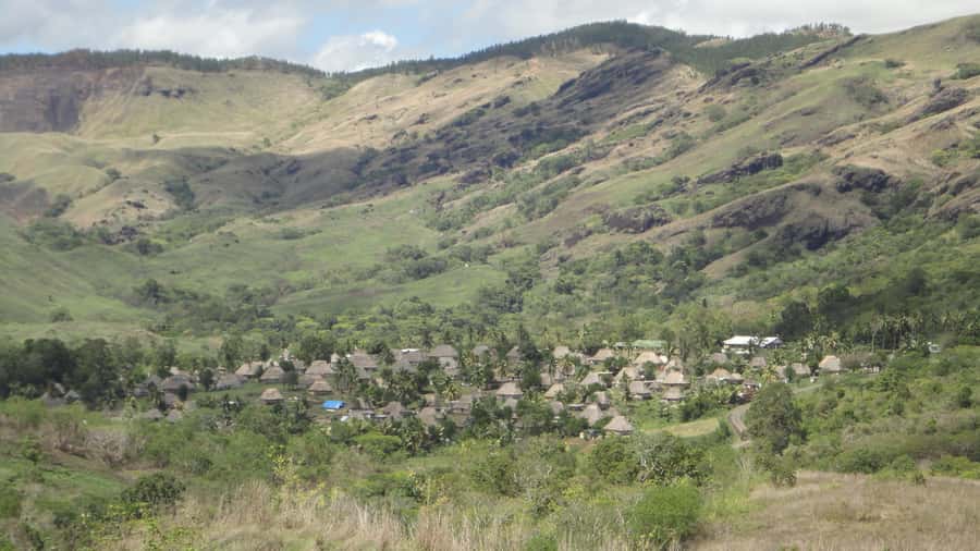 Fiji: Navala Village Cultural Tour & Traditional Lunch - Who should book Navala, and who should choose something else