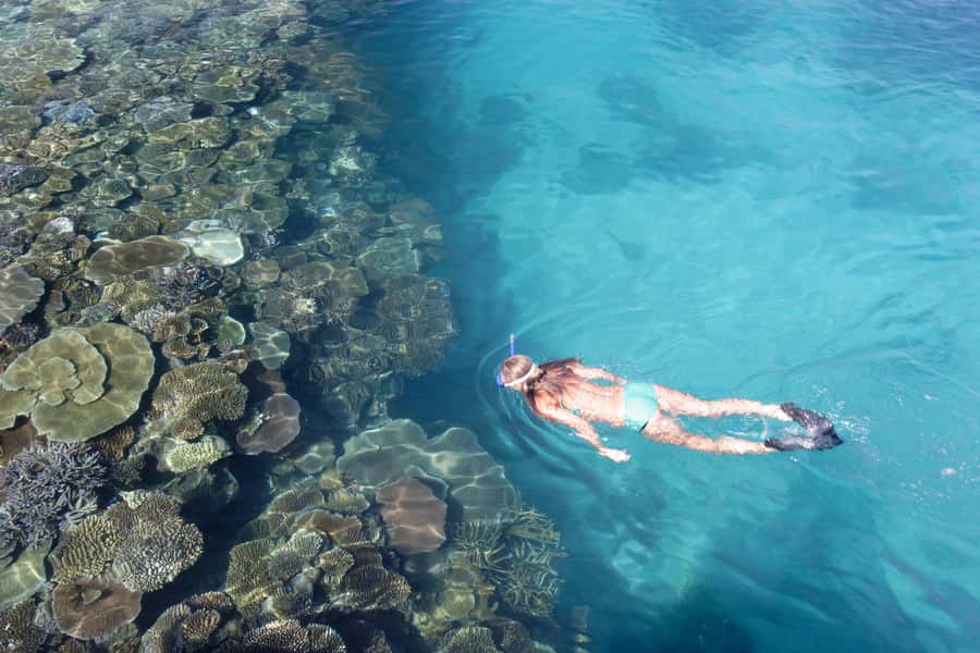 Fiji: South Sea Island Combo Half Day Trip Lunch & Drinks - Key highlights worth planning around