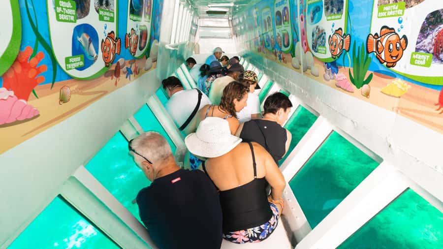 Fiji: South Sea Island Finding Nemo ex Port Denarau - Small group size, and how it affects your stress level