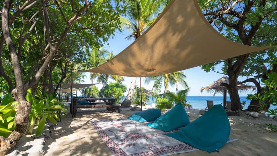 Fiji: South Sea Island Full Day Trip with Lunch & Drinks - Key Highlights Worth Your Time