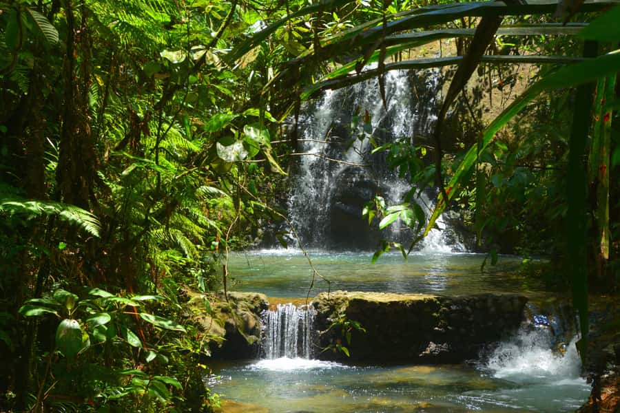 Fiji: Suva Village Tour - Who This Tour Fits Best, and Who Should Be Careful