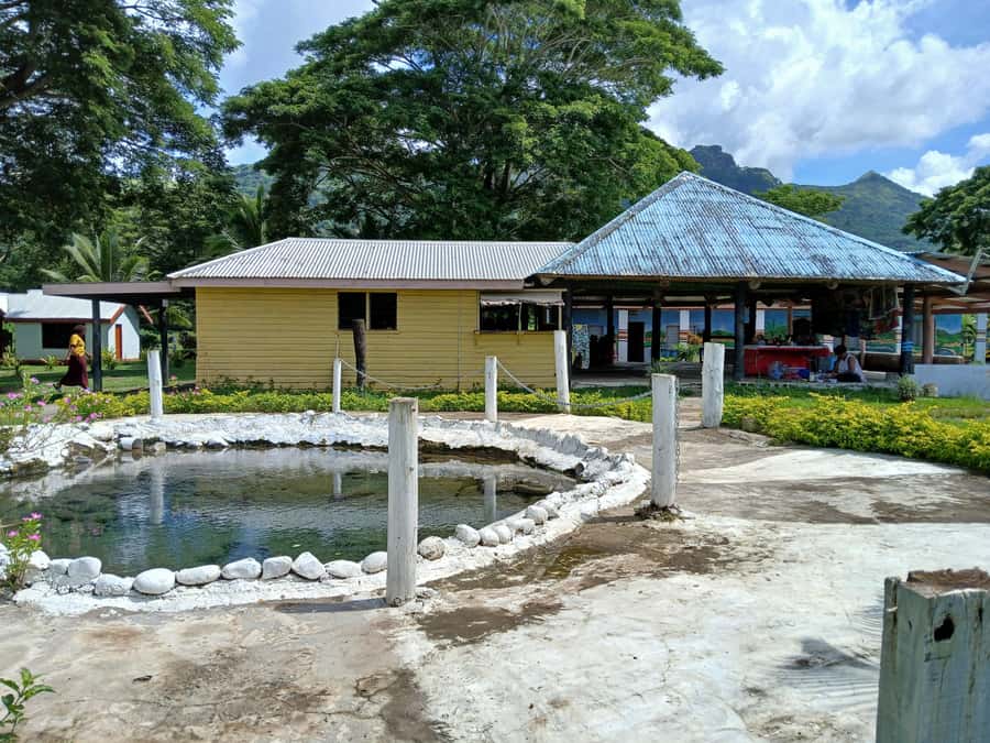 Fiji: Tifajek Mud Pool & Hotspring Tours & Tickets - Mud Pool Bath: Washing Off Without Turning It Into a Swim