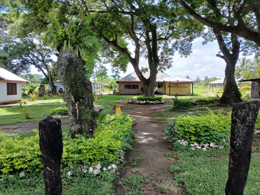 Fiji: Tifajek Mud Pool & Hotspring Tours & Tickets - Hot Spring Pools and Sulphur: How Hot Is Hot