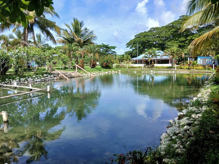 Fiji: Tifajek Mud Pool & Hotspring Tours & Tickets - What’s Included, What You Provide, and What You Can’t Bring