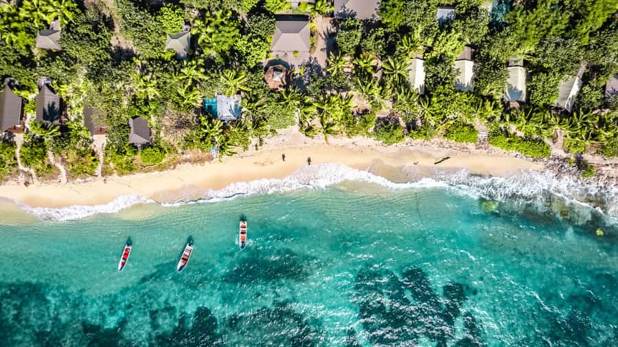 Fiji: Ultimate Encounters Snorkel with Sharks and Lunch - Why this Fiji shark snorkel feels more real than a checklist