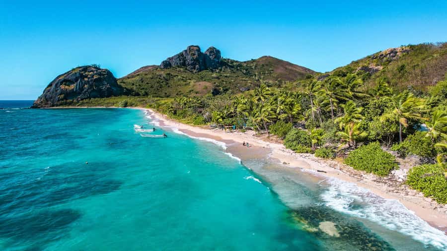 Fiji: Ultimate Encounters Snorkel with Sharks and Lunch - The crew and the little moments that make it feel worth it