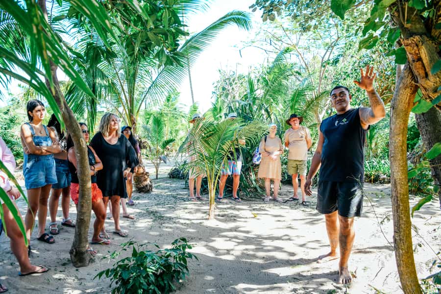 Fiji: Village & Mud-Crab Catching Tour - Who should book this Fiji Village and Mud-Crab tour