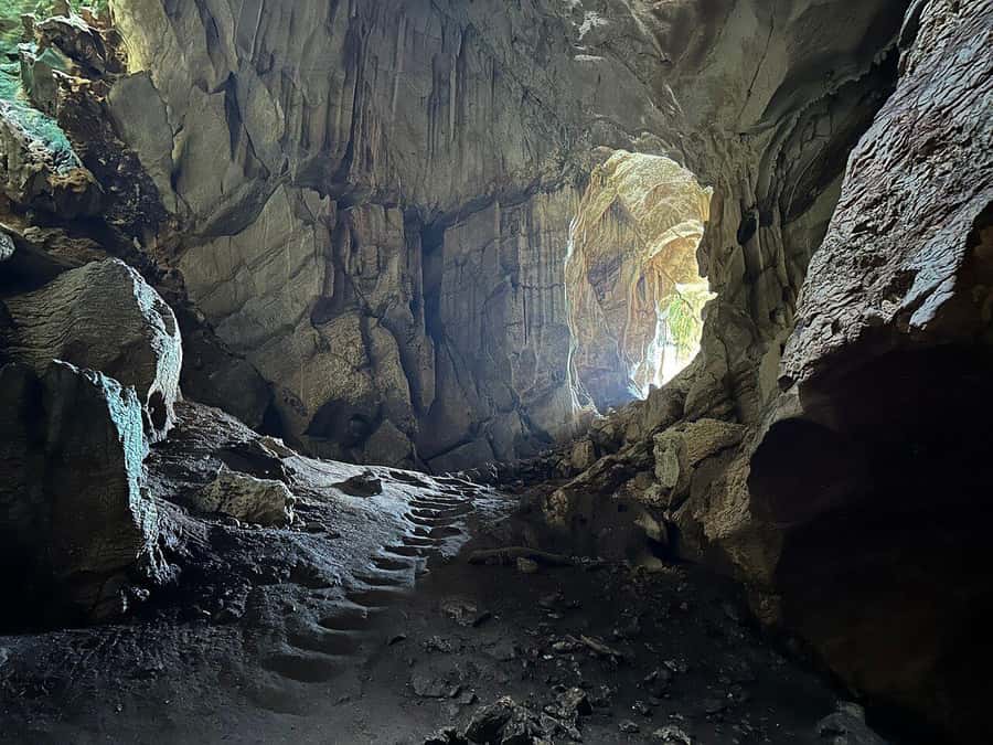 Fiji: Zipline Adventure and Cave Exploration - 16 lines and 5 km of speed: What you actually feel on the rainforest canopy route