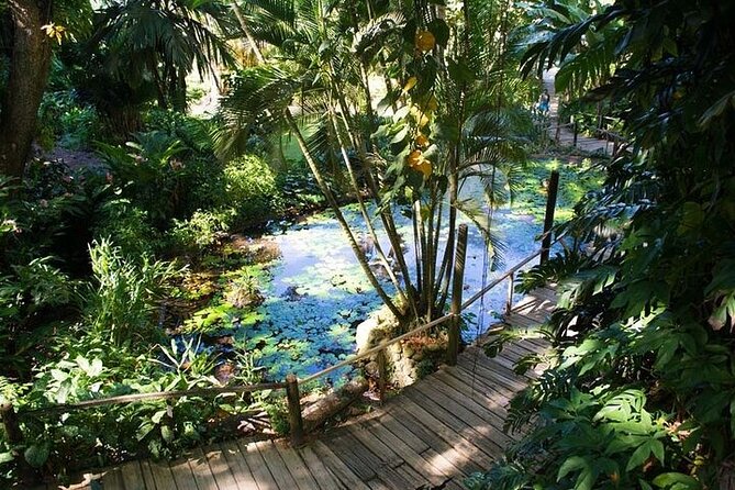 Full Day Discover Nadi Tour ( From Sigatoka Coral coast Hotels ) - Viseisei: The Village Where the Ancestors Landed