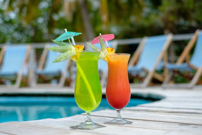 Full Day South Sea Island with Lunch & Drinks - The Meke dance at lunch: culture in the middle of the day