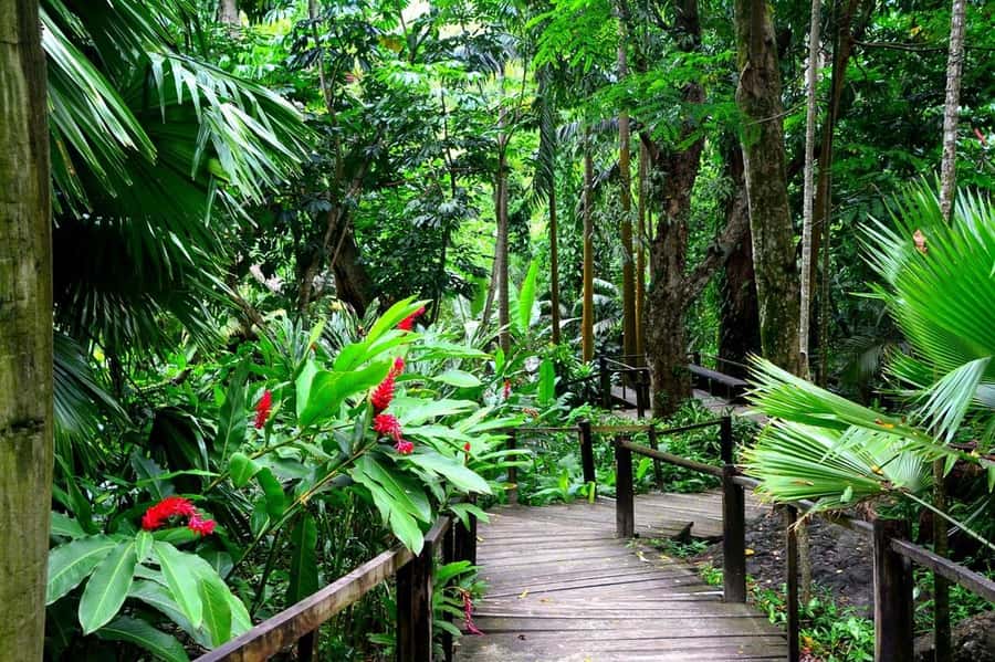 Garden of Sleeping Giant with Sabeto Hotspring Mudpool Tour - Price and value for a Nadi transfer plus mud pool access