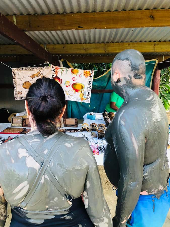 Garden of Sleeping Giant with Sabeto Hotspring Mudpool Tour - Should you book the Garden of the Sleeping Giant and Sabeto Mud Pool tour?