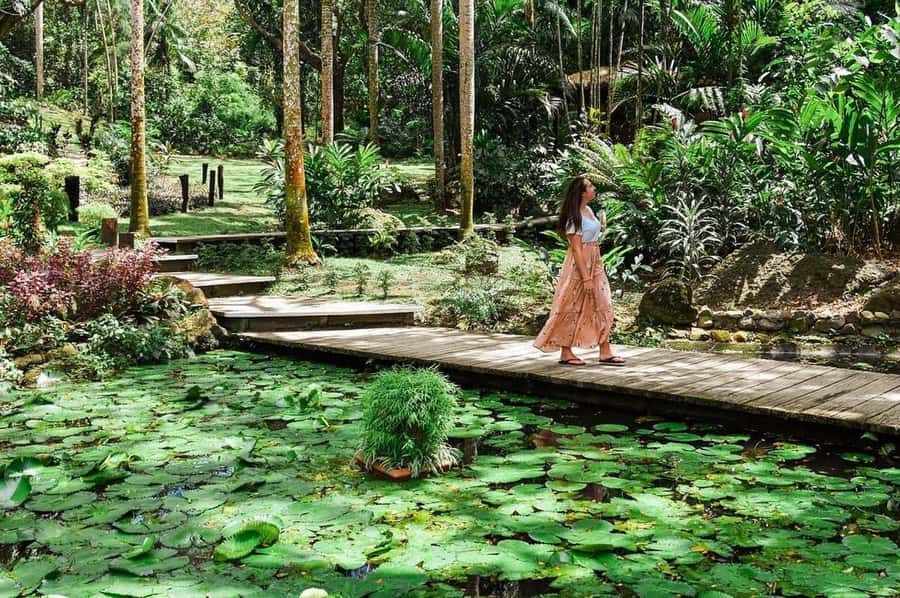 Garden of Sleeping Giant with Tifajek Mudpool Hotspring Tour - Key things to know before you go