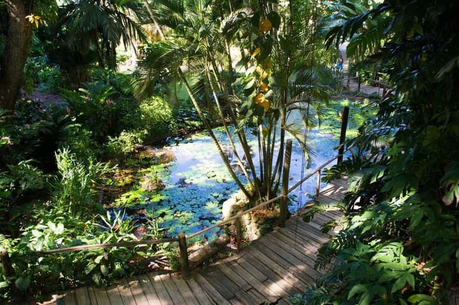 Garden of Sleeping Giant with Tifajek Mudpool Hotspring Tour - Optional massage with a complimentary foot soak, worth it if you have time