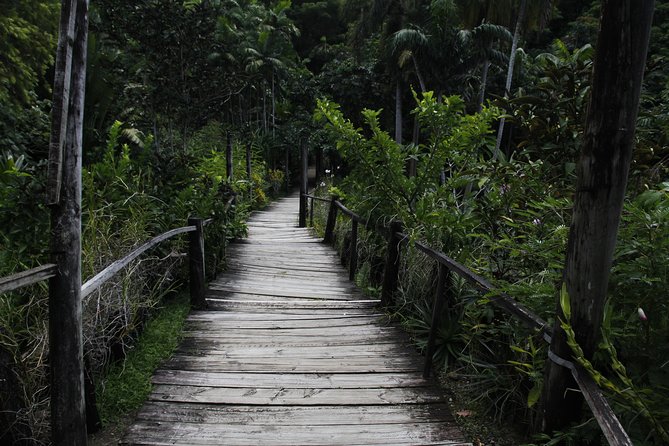 garden of the sleeping giant and mudpool tour combo - Denarau half-day value: two iconic sights in one guided ride
