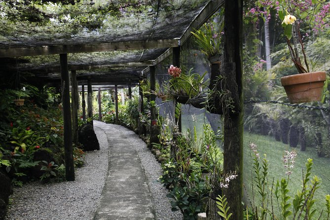garden of the sleeping giant and mudpool tour combo - Sabeto Hot Springs and Mud Pools: heat, mud, and local expectations