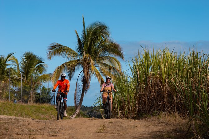 Guided E-bike Tour - Why Nadi’s interior feels like a different Fiji