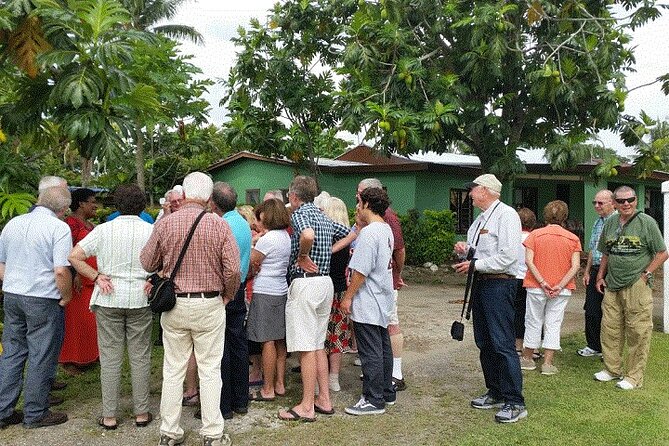 Half Day Mudpools, Veseisei Fijian Village, Gardens of Sleeping Giants &Shopping - Viseisei Village: history you can see, people you can talk to