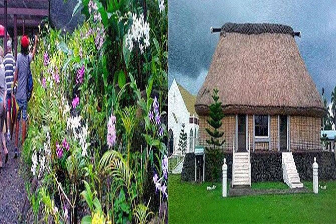 Half Day Nadi Tour incls Sri Siva Temple, Orchid Gardens,Local Village & Markets - Price and what you really get for $93.60