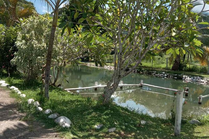 Half Day Nadi Tour Temple, Market, Gardens and Mud Pools - Price and what you actually get for $136.03