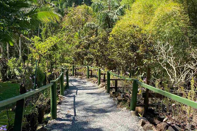 Half Day Nadi Tour Temple, Market, Gardens and Mud Pools - Namaka market and Tappoo Nadi shopping: coconut, color, and crafts