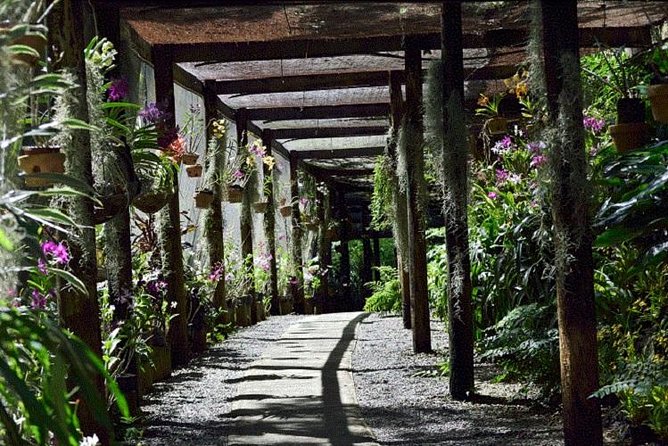 Half Day Sightseeing - Wonders of Nadi Tour - How This Half-Day Nadi Tour Fits Your Fiji Plans