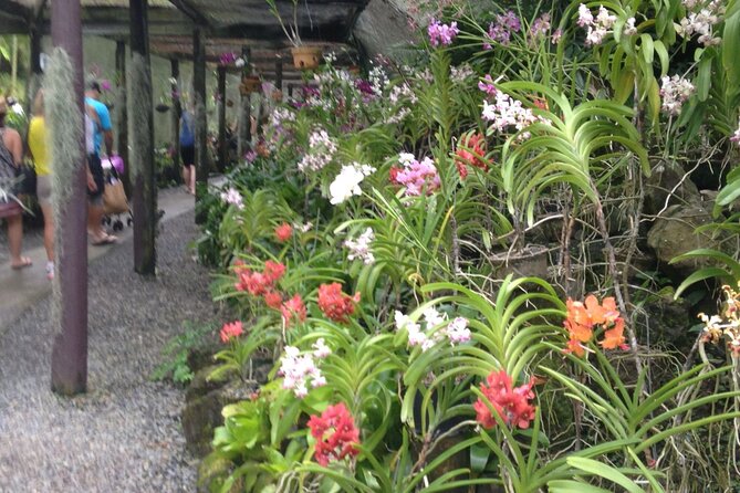 Half Day Sightseeing - Wonders of Nadi Tour - Stop 2: Handicraft Market, Duty-Free Stops, and Lunch Planning