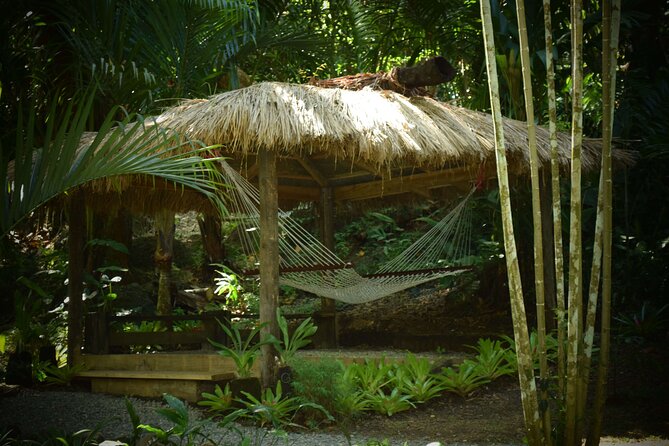 Half Day Sightseeing - Wonders of Nadi Tour - Price and Value: Is $77.61 Worth It?