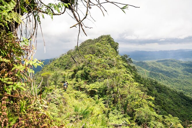 Hiking Adventure including Fiji's Highest Mountain and 3 Nights - Key takeaways before you go