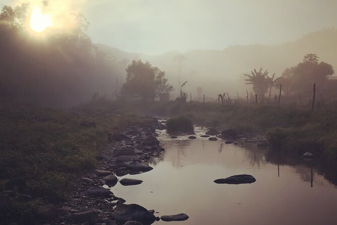 Hiking Adventure including Fiji's Highest Mountain and 3 Nights - Why Fiji’s highlands feel different from the coast