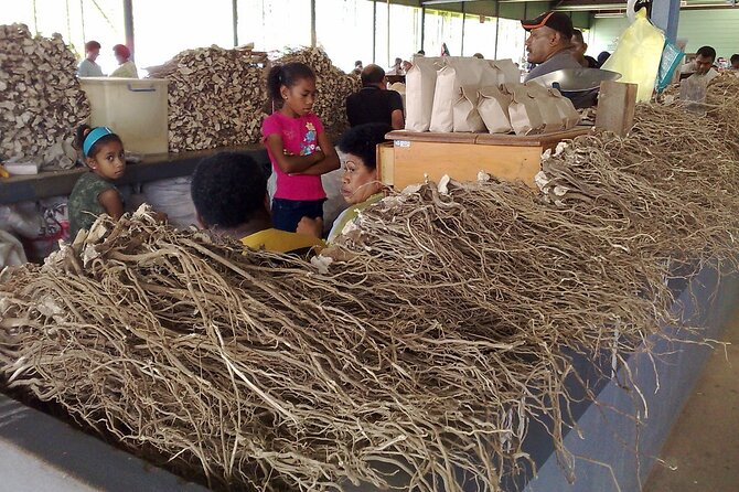 Kava Factory Tour and Flavored Kava Tasting Experience - Key highlights you’ll feel right away