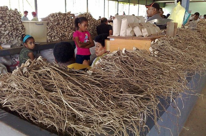 Kava Factory Tour and Flavored Kava Tasting Experience - Pineapple, mango, and chai kava: flavors that still respect the roots