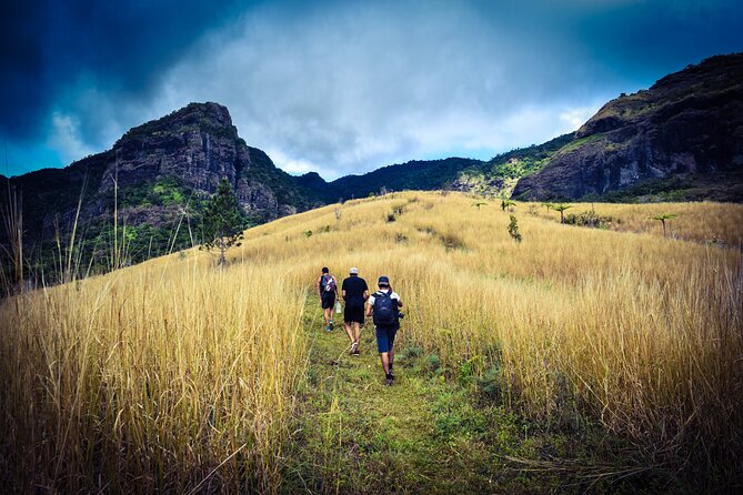 Koroyanitu National Heritage Park Fiji - Hike - Waterfall - Picking the right trail: why the guide choice can make or break your day