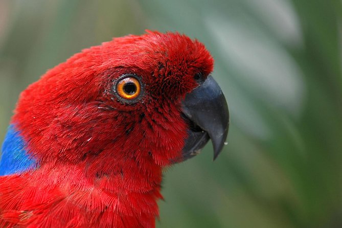 Kula Eco Park Admission - Key Takeaways Before You Go